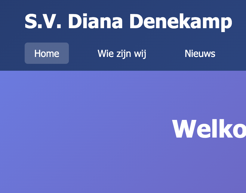 S.V. Diana Denekamp